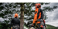 Faller Challenge Prep Course