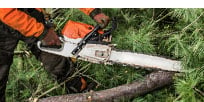 Book Power Saw Operator Training