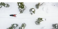 Snowmobile Operator