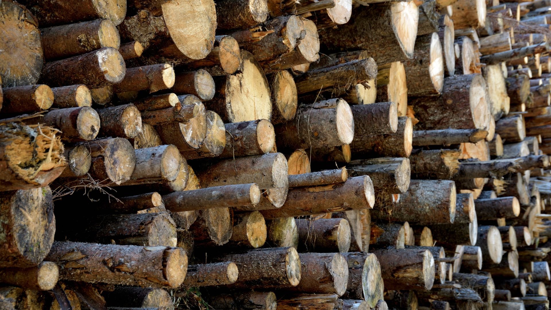 Forestry Products