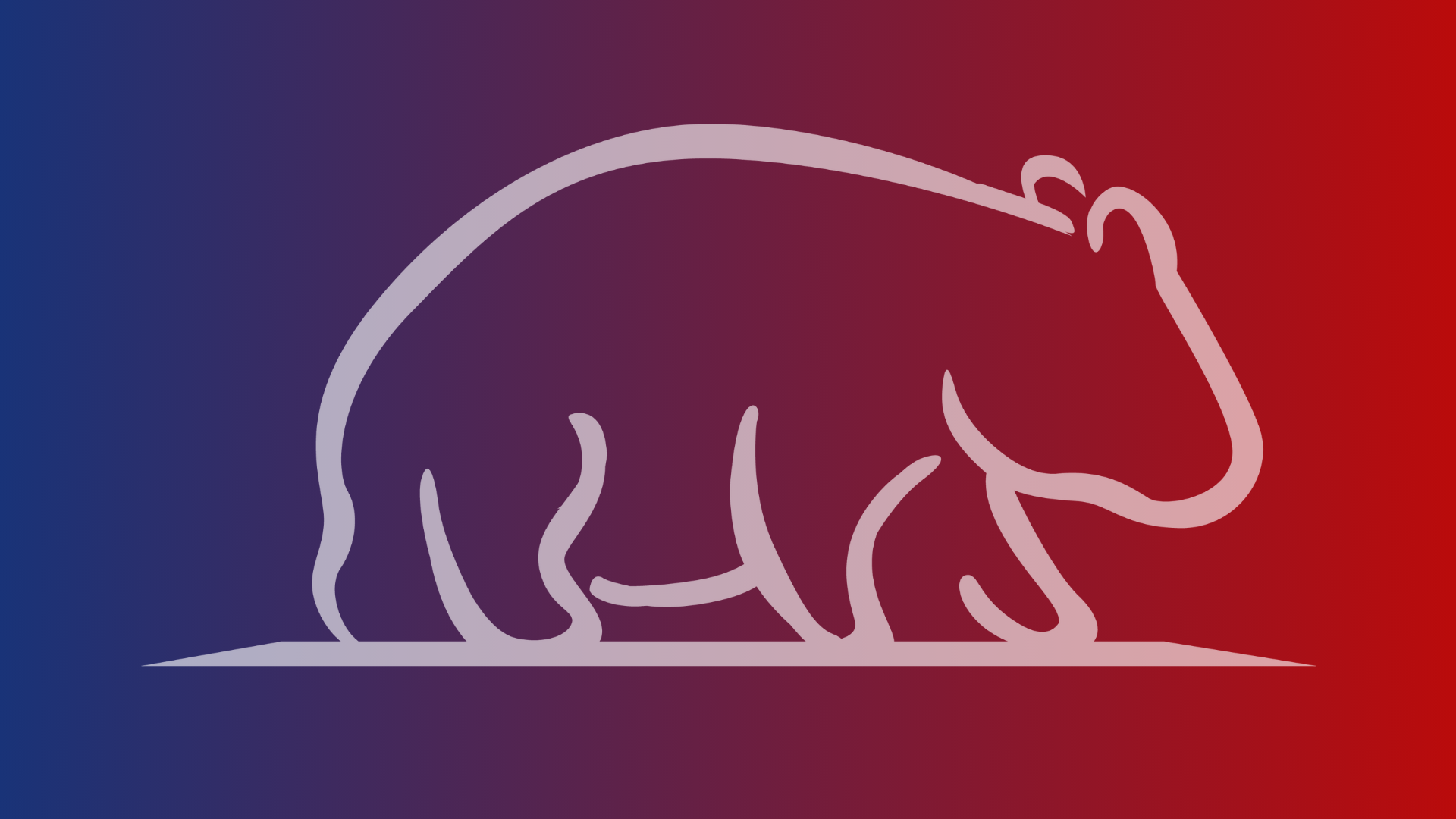 _About Wombat Safety Software