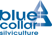 blue-collar-silv-logo-blue_1