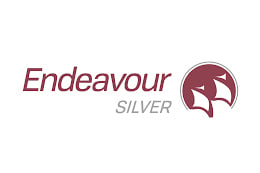 endeavor silver