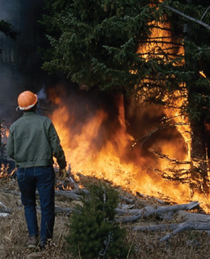 Wildfire Worker