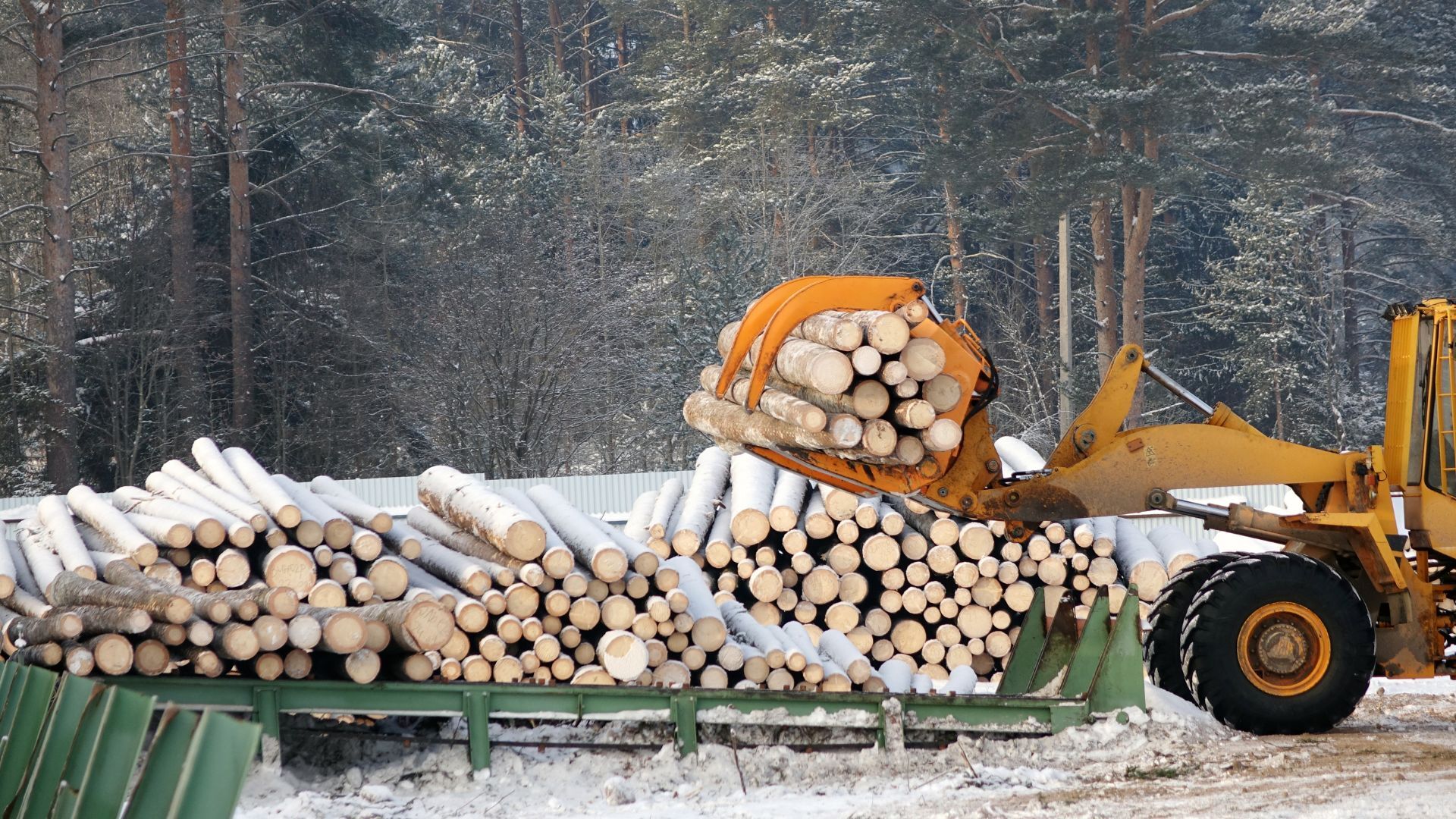 Untitled design (4)-2