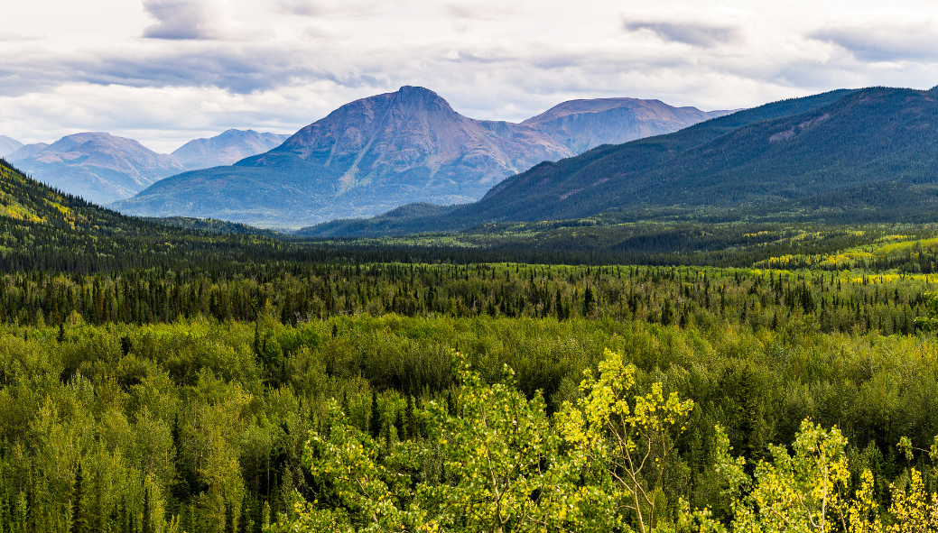 Building the Workforce: Strategies for Overcoming Labour Shortages in Northern Canada