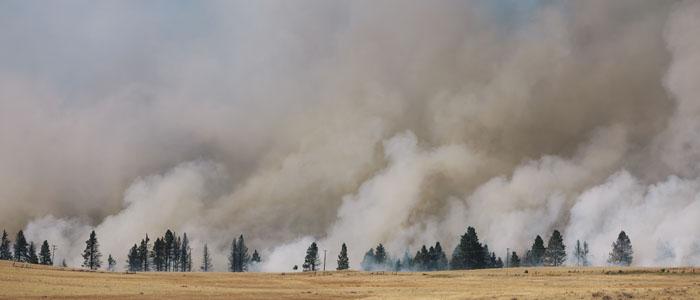 Up In Flames - Do Wildfires Threaten Your Community?